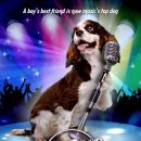 퍼피팝(PUPPY POP) 이미지