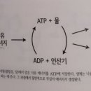 빅픽처6(Big Picture6) 이미지