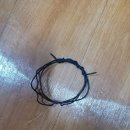 9)10/23(수) 약품중독 후에 건강이 너무 나빠져서 병원에 가다. 약을 친지 20일 한달째다. 이빨도 부서져서 떼웠다. 뼈통증 이미지