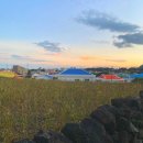 로시1978 이미지