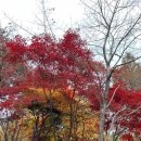 종로-종로-종로-종-106 | [서울/광진구] 서울어린이대공원 동물원 후기 및 주차 정보