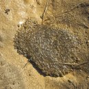 쌍인카센터 이미지