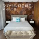 더 플라야 | 칸쿤 플라야델카르멘 더파이브 다운타운 2박 솔직 후기! 루프탑 수영장, 조식, 가격 총 정리