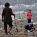 동강농장 이미지