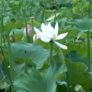 물결공원 화장실 이미지