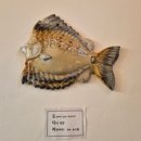 황악산아래 이미지