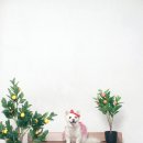 뚜드림 수원점 이미지