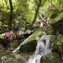 참새미골 이미지