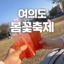 한강마차 | 여의도 봄꽃축제 데이트 후기 닭강정,닭꼬치 들고 한강 피크닉