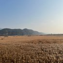 장산마을영농조합법인 이미지