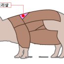 대구1번지막창 이미지