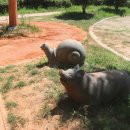 황토부자 이미지