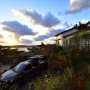 아잘리아그린 이미지