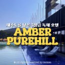 루나힐 | 제주 엠버퓨어힐 호텔&리조트 힐 루나 패밀리 후기｜복층 독채 객실·조식·인피니티풀 추천