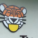 코트니타이거 이미지