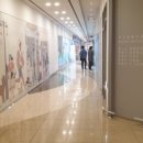 몽몽이펫샵