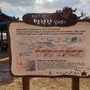 비비정예술열차 이미지