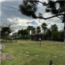 솔라티펜션 이미지