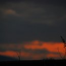 별그대 민박 이미지