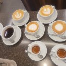 커피 추출의 비밀: 핸드드립 과정 이미지