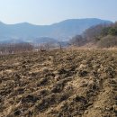 드림스포츠 센터 이미지