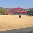 개들랜드 | [울산 나들이] 울산 애견카페 추천｜반려견 운동장 넓은 개들랜드 후기