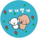피개행개 이미지
