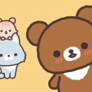 (주)스파렉스 이미지