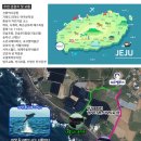 제주벨루가 이미지