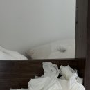 유심한의원 | [일상; 8/1~8/14] F1과 한의원이 지배한 일상