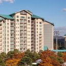 곤지암리조트 이미지