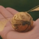 해리네 포터 이미지