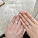 (주)테라투어