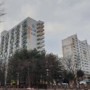 엄사면 엄사리 281 이미지