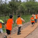 오룡한국태권도장 이미지