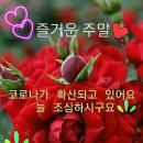 토요일 이미지