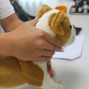 덕호유미스튜디오 이미지