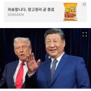 트럼프 보다 시진핑이 더 낫다 이미지