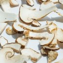 고산참송이버섯 이미지