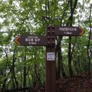 초부2리 이미지