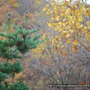 매봉산장 이미지