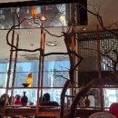 바르미샤브샤브 이미지