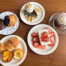 디어터틀(dear turtle) 이미지