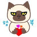 비아제주스테이 이미지