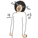 웰니스동물병원(수완점) 이미지