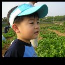 정빈농장 이미지