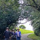 8월 23일 Manutewhau Walk and Moire Park 이미지