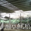 광선축산 이미지