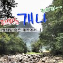 ★★★ 더위는 개나 줘버려~(병지방 계곡) ★★★ 이미지