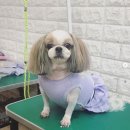 강사모백화점 이미지